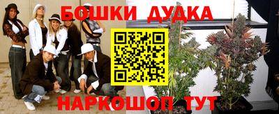стаф Ливны